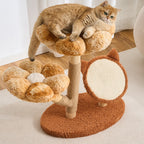 Arbre à chat Floral – Design fleuri, griffoir en sisal et couchage moelleux