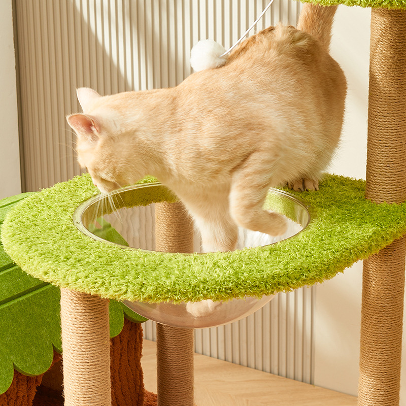 Arbre à chat Jungle Paradis – Design tropical stable et multi-niveaux