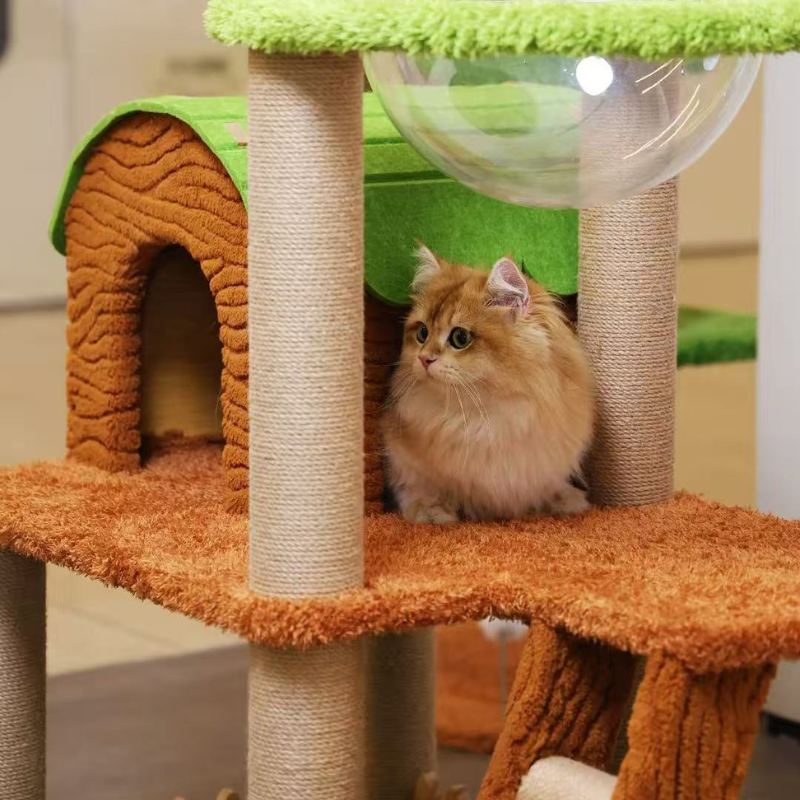 Arbre à chat Jungle Paradis – Design tropical stable et multi-niveaux