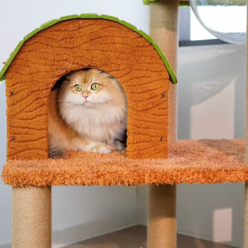 Arbre à chat Jungle Paradis – Design tropical stable et multi-niveaux