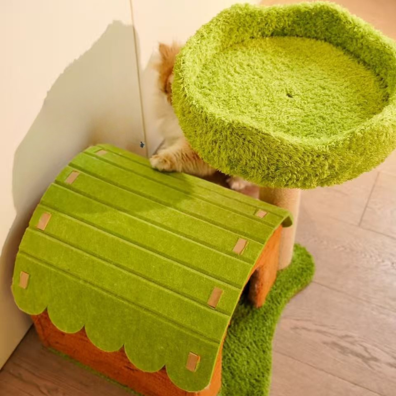 Arbre à chat Jungle Paradis – Design tropical stable et multi-niveaux