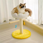 Arbre à chat compact Nuage Étoilé – panier en peluche teddy & tronc en sisal