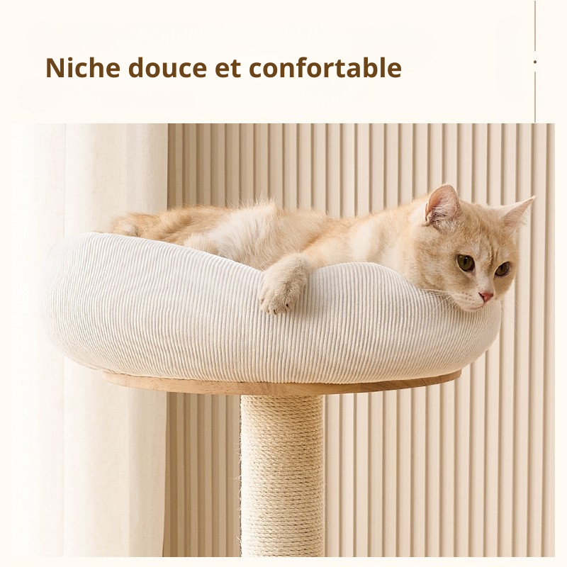 Arbre à chat en bois naturel clair – Design scandinave crème & sisal