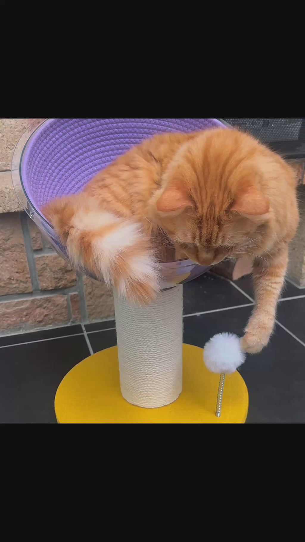 Griffoir Fleur de Soleil – Arbre à chat compact en sisal & zone de repos